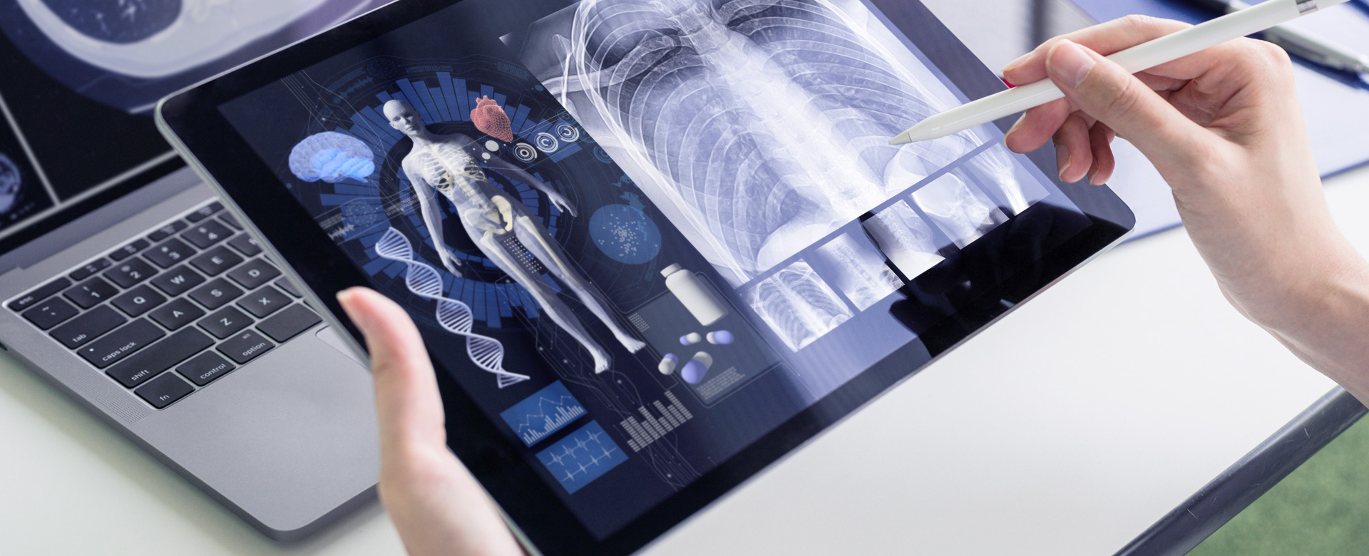 Referti online la tutela di medico e paziente spiegata dal garante